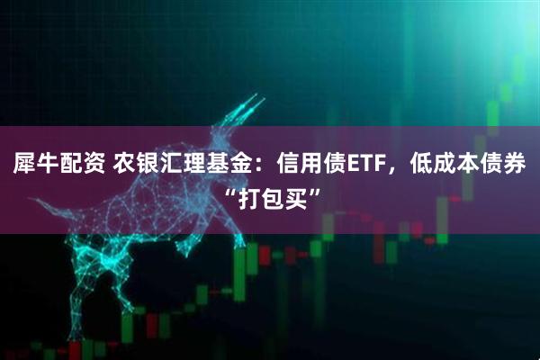 犀牛配资 农银汇理基金：信用债ETF，低成本债券“打包买”