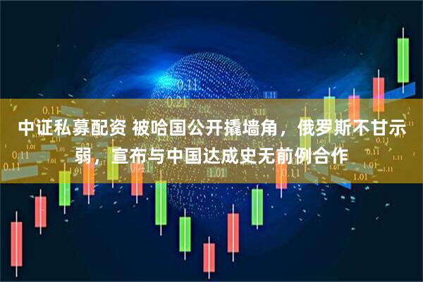 中证私募配资 被哈国公开撬墙角，俄罗斯不甘示弱，宣布与中国达成史无前例合作