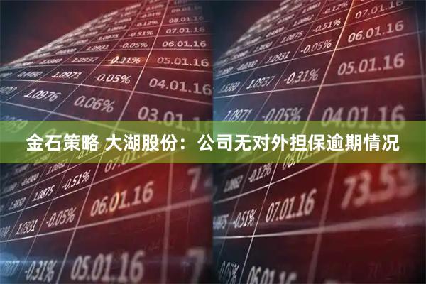 金石策略 大湖股份：公司无对外担保逾期情况