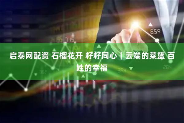 启泰网配资 石榴花开 籽籽同心｜云端的菜篮 百姓的幸福