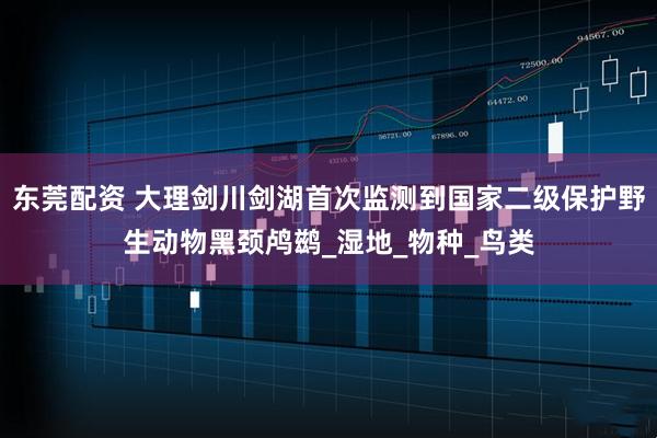 东莞配资 大理剑川剑湖首次监测到国家二级保护野生动物黑颈鸬鹚_湿地_物种_鸟类